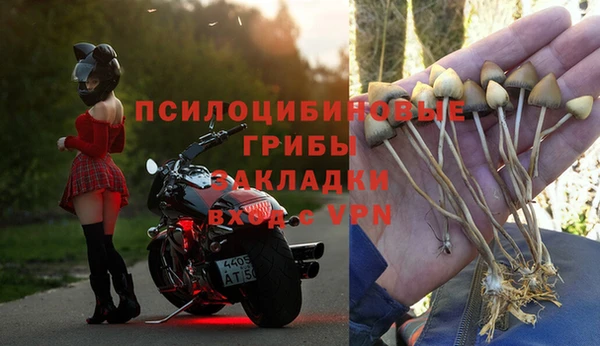 прущий лед Новозыбков